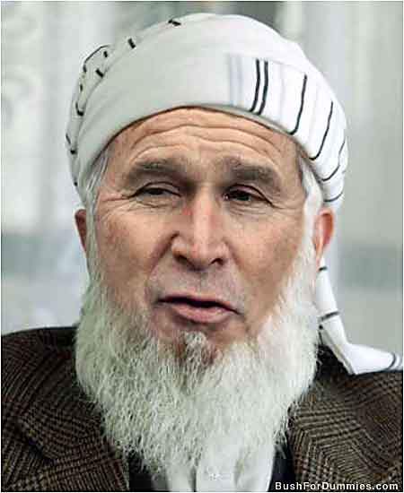 bush.jpg