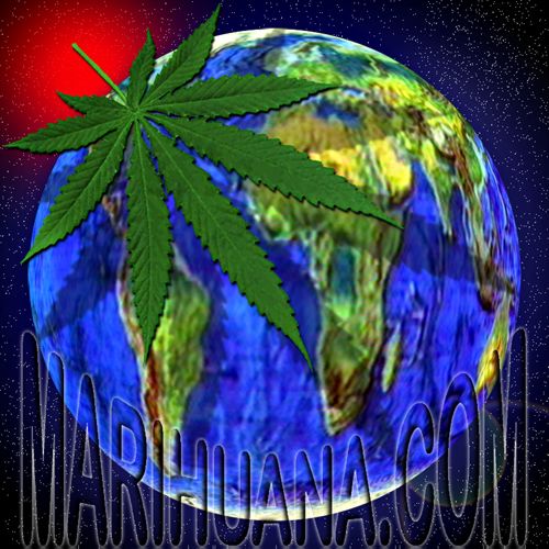 wwweed.jpg